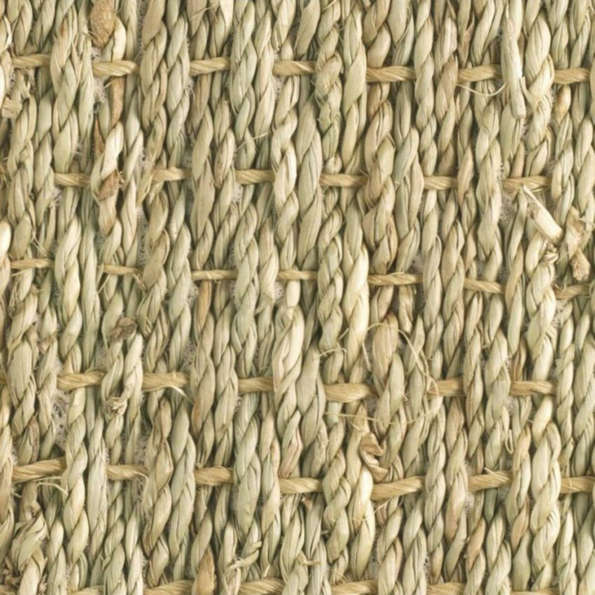 Sols naturels Jonc de mer Balsan Revêtement de sol en Jonc de Mer Naturel - Along N3002 - à la coupe sur mesure - Largeur 4 mètre(s)